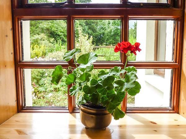 Hawthorn Farm Cottage Curry المظهر الخارجي الصورة