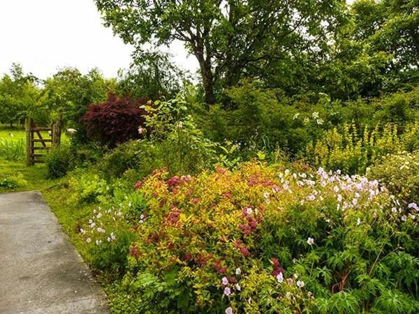 Hawthorn Farm Cottage Curry المظهر الخارجي الصورة