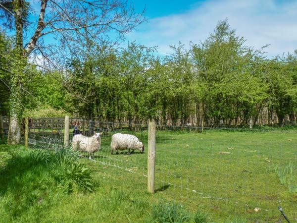 Hawthorn Farm Cottage Curry المظهر الخارجي الصورة